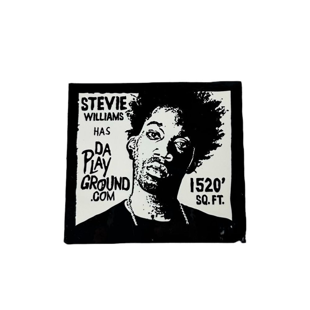 DGK Stevie Williams “Da Playground” Skate Park Skateboard Sticker 2010